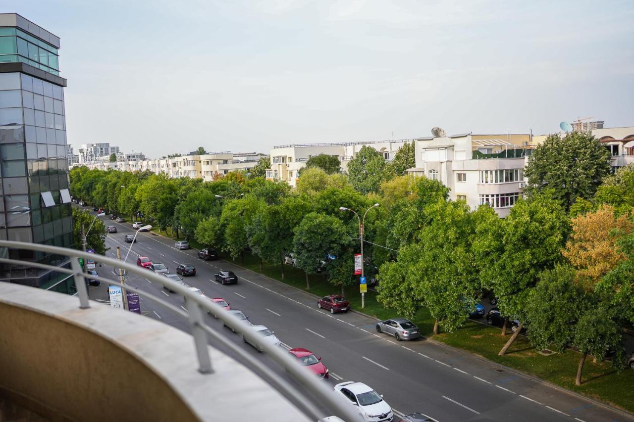 Penthouse With Huge Rooftop & Amazing City View Bucureşti Ngoại thất bức ảnh